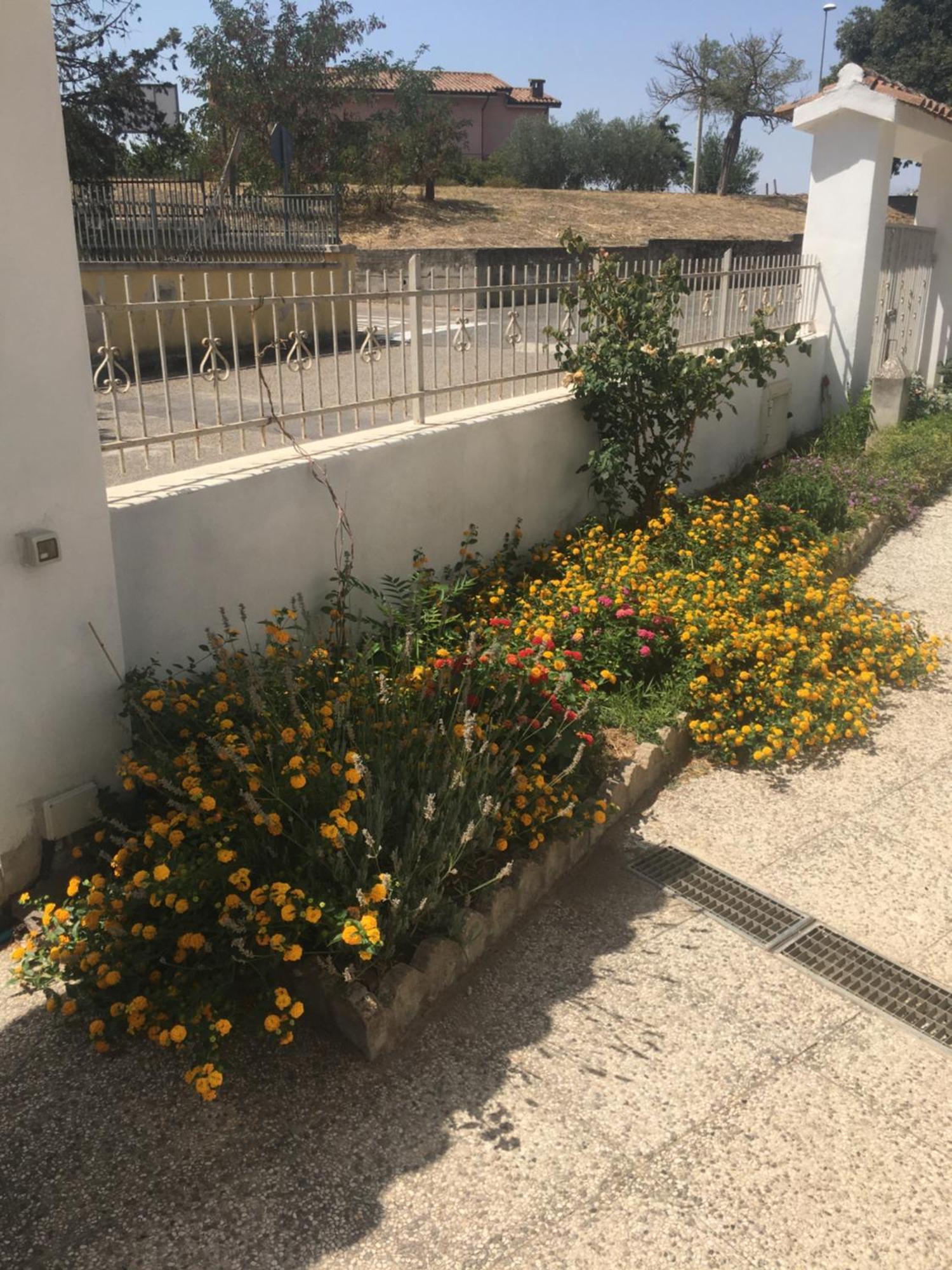 OschiriA Casa Di Zia住宿加早餐旅馆 外观 照片